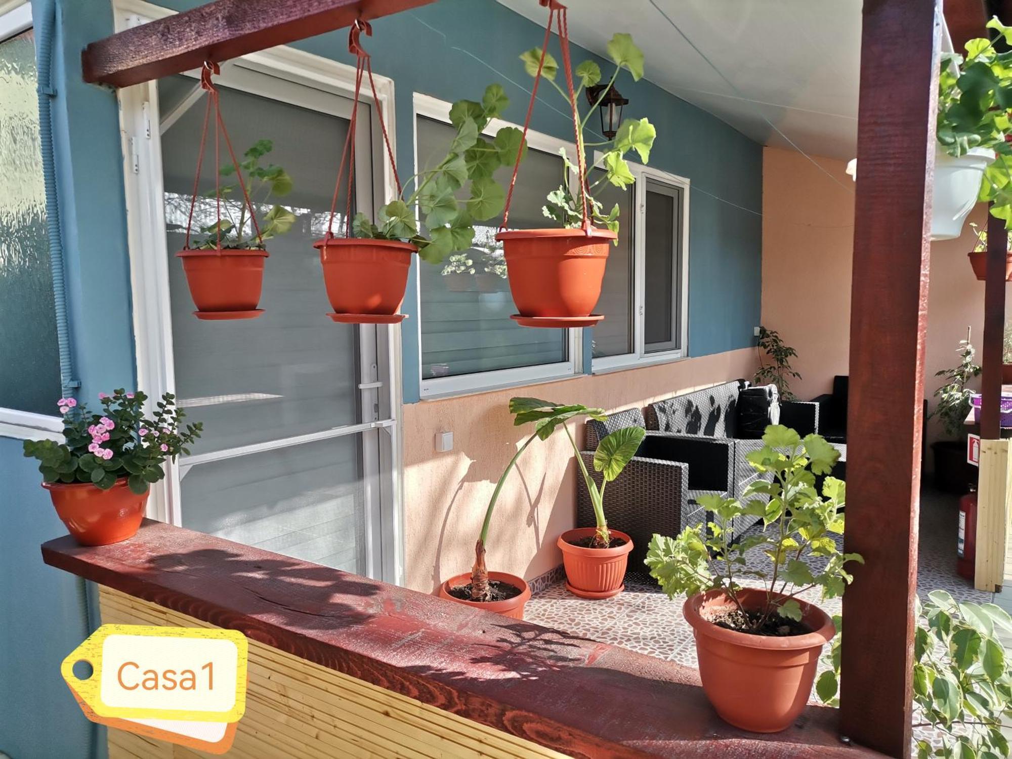 Casa Dasoveanu Sulina Bagian luar foto